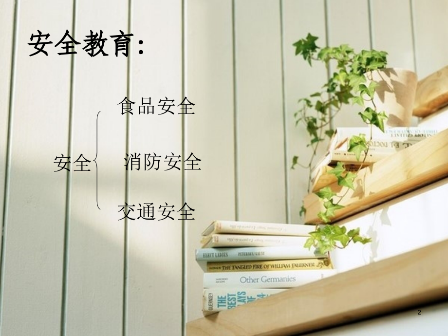 安全文明伴我行主题班会课件.ppt_第2页