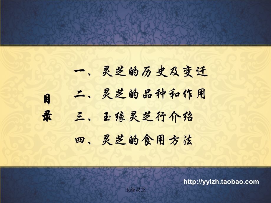 野生灵芝专业知识宣讲.ppt_第1页