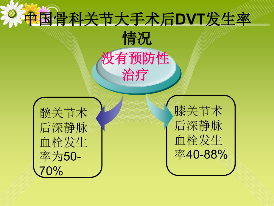 骨折术后深静脉血栓预防-.ppt_第2页