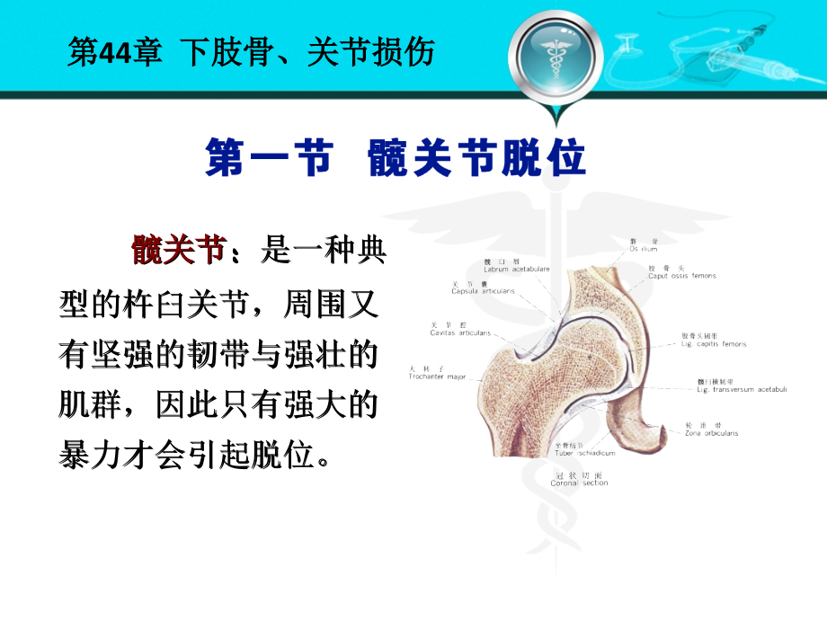 外科学第八版下肢骨关节损伤.ppt_第2页