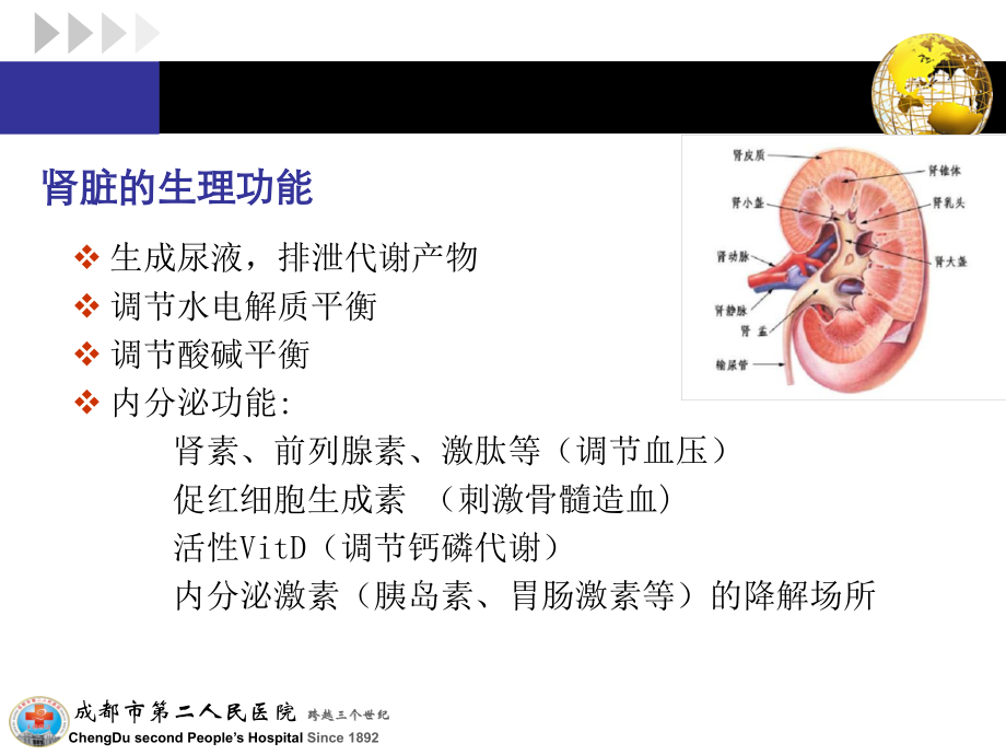 急性肾衰病人的护理-.ppt_第2页