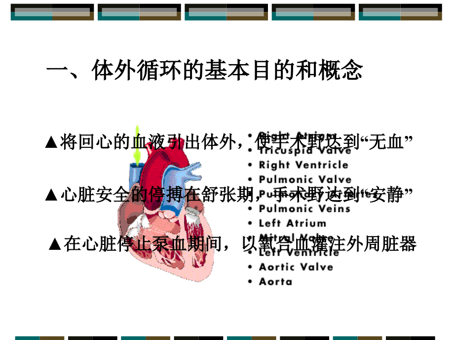 医学体外循环宣教ppt.ppt_第2页