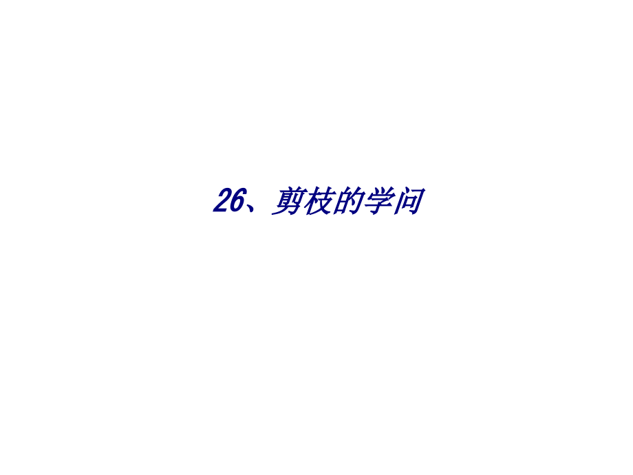 剪枝的学问专题培训课件.ppt_第1页