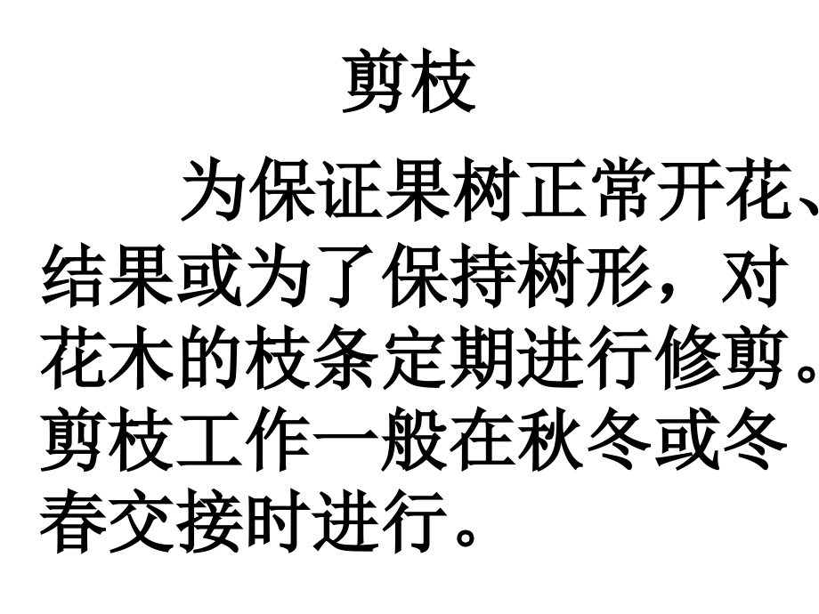 剪枝的学问专题培训课件.ppt_第2页