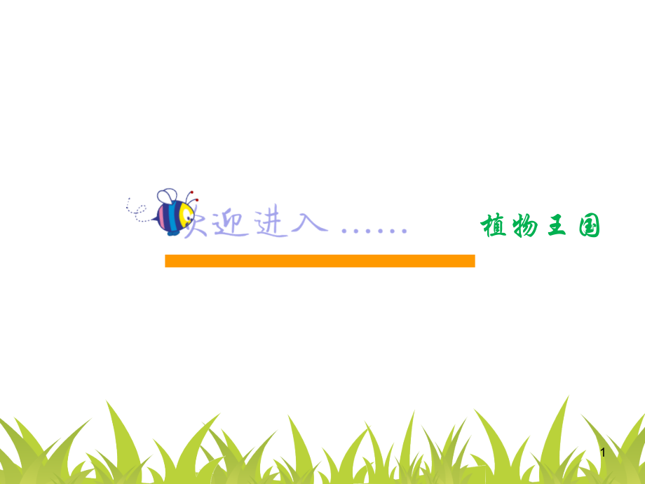 幼儿园讲课植物课件.ppt_第1页