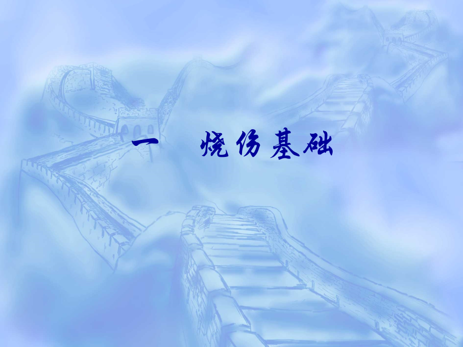 医学课件烧伤急救和创面处置.ppt_第2页