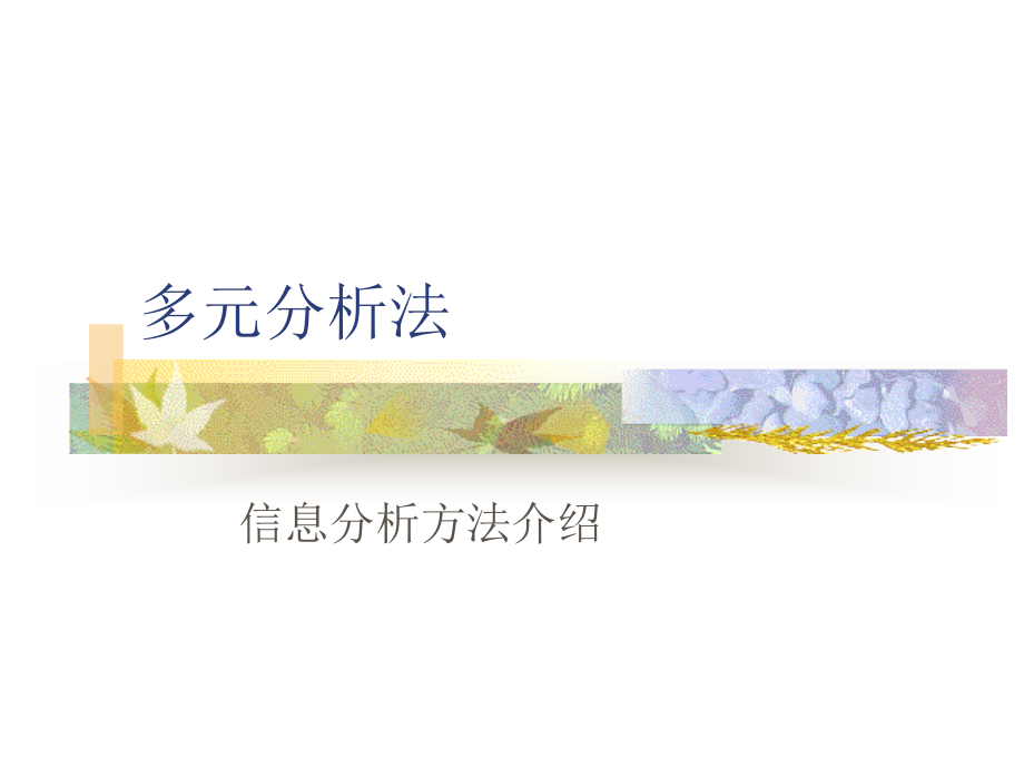 多元分析法.ppt_第1页