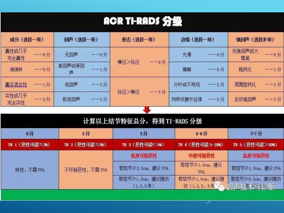 甲状腺TIRADS类.ppt_第2页