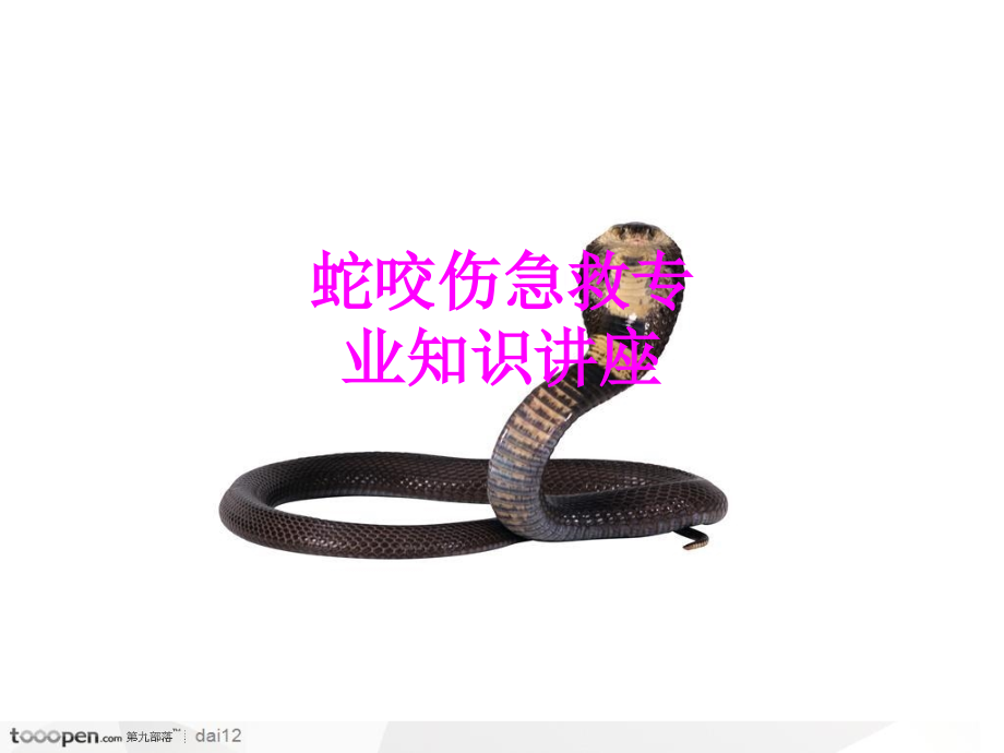 医学蛇咬伤急救专业知识讲座PPT培训课件.ppt_第1页