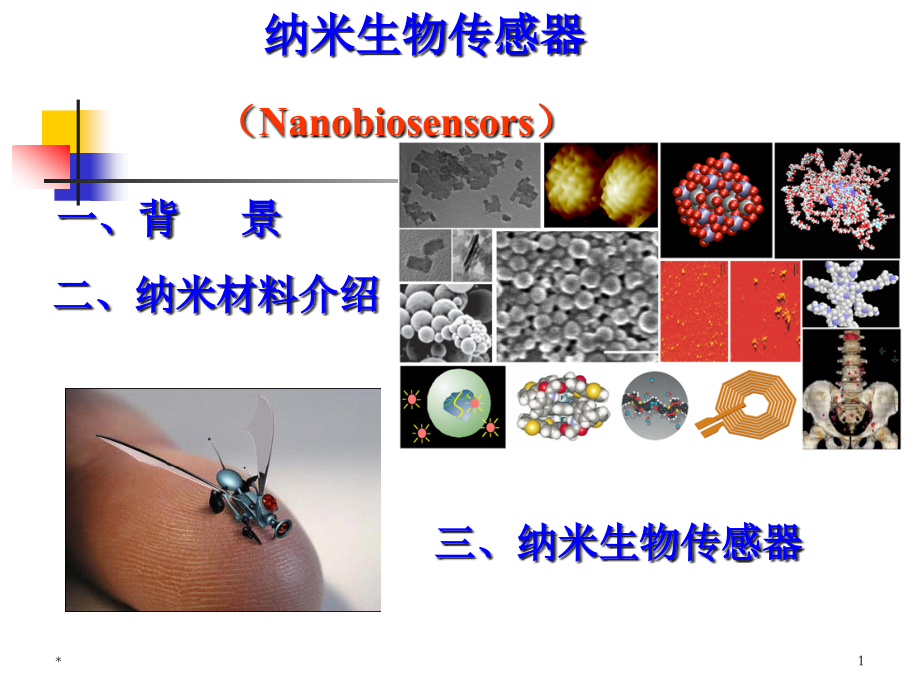 13.生物医学传感-纳米生物传感器.ppt_第1页