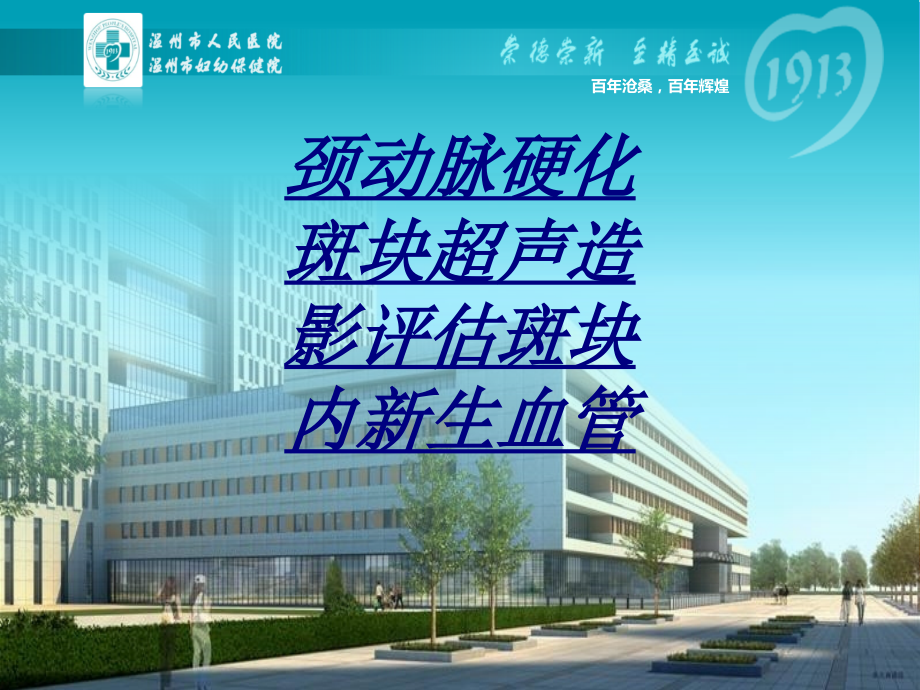 医学颈动脉硬化斑块超声造影评估斑块内新生血管.ppt_第1页