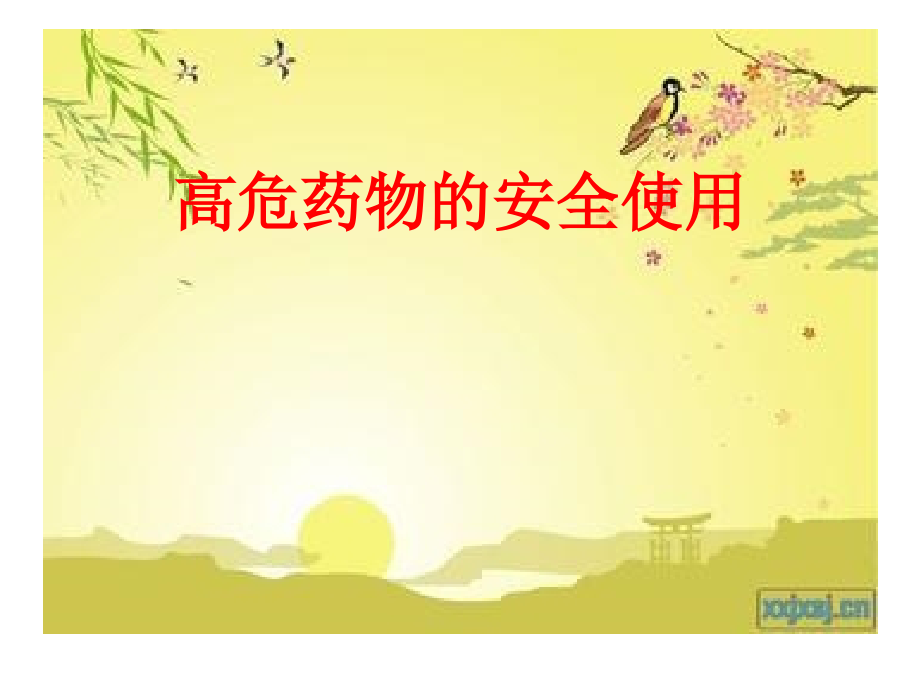 高危药物的安全使用PPT.ppt_第1页