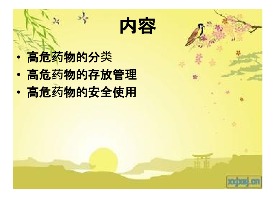 高危药物的安全使用PPT.ppt_第2页