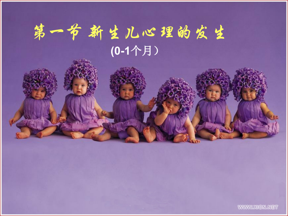 消费心理学主题讲座讲义.ppt_第2页