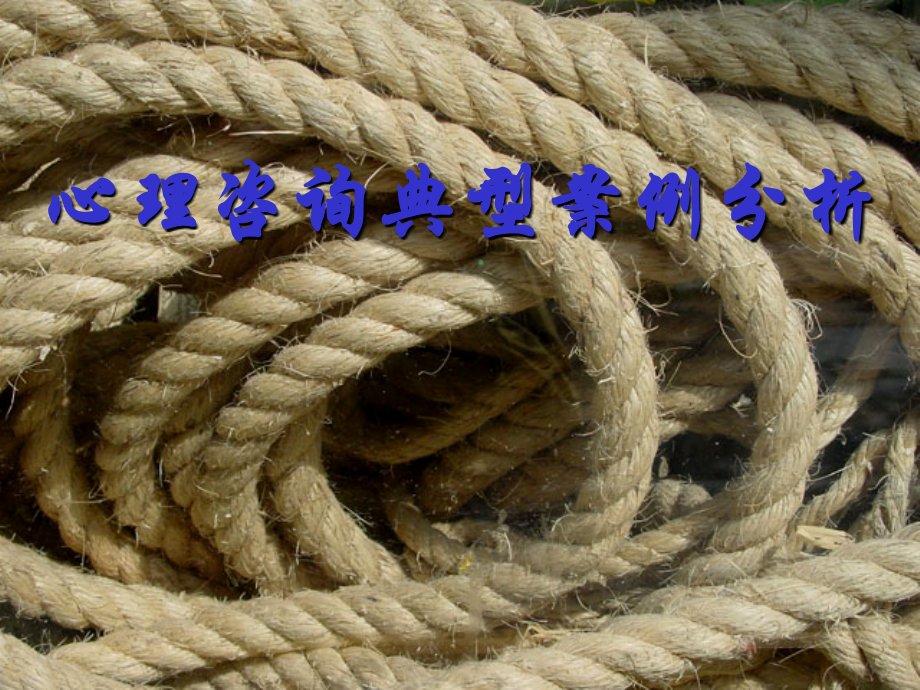 心理咨询经典案例分析1-.ppt_第1页