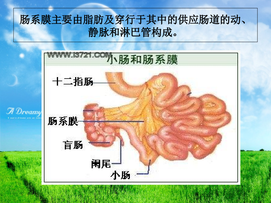 医学肠系膜脂膜炎的影像诊疗PPT.ppt_第2页