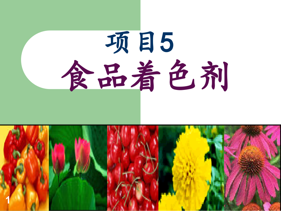 项目5.食品着色剂.ppt_第1页