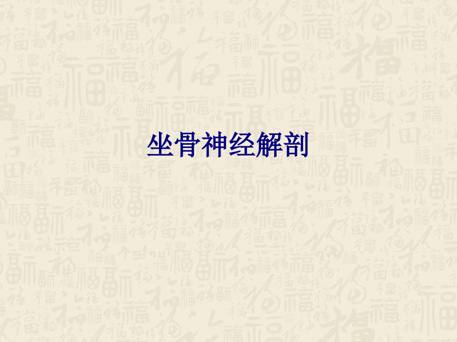医学坐骨神经解剖PPT.ppt_第1页