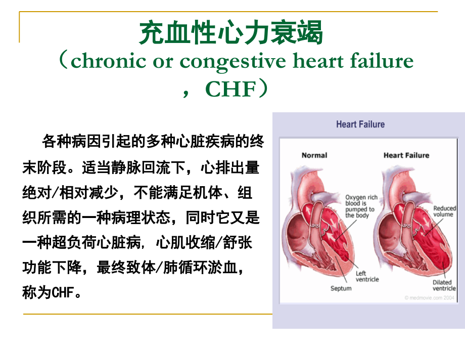 第十章-抗慢性心功能不全药.ppt_第2页