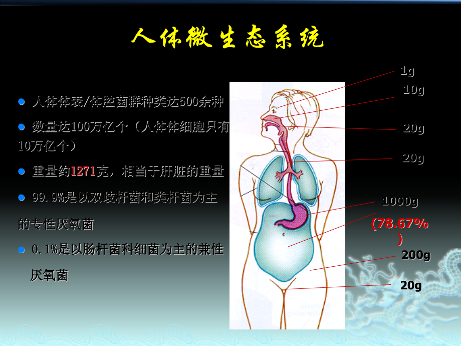 肠道菌群与肠黏膜屏障.pptx_第2页