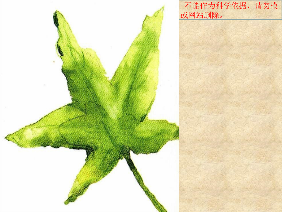 一片叶子落下来教学绘本专业知识讲座.ppt_第1页