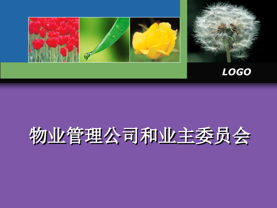 物业管理公司和业主委员会.ppt_第1页