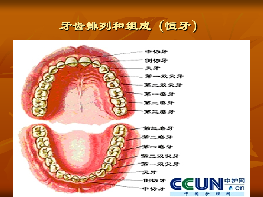牙片的拍摄专题宣讲.ppt_第1页