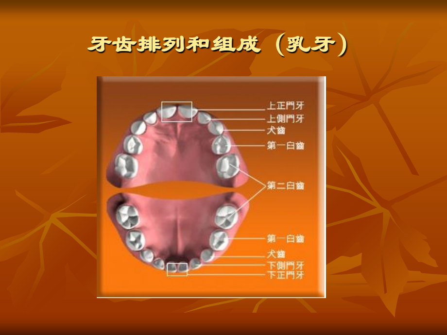 牙片的拍摄专题宣讲.ppt_第2页