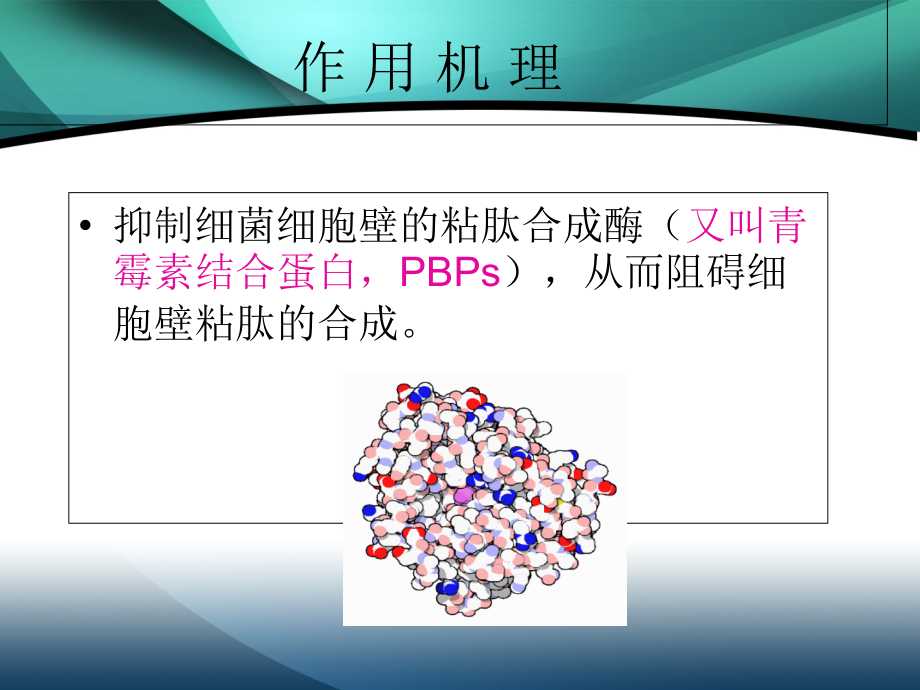 β-内酰胺类抗菌药物.ppt_第2页