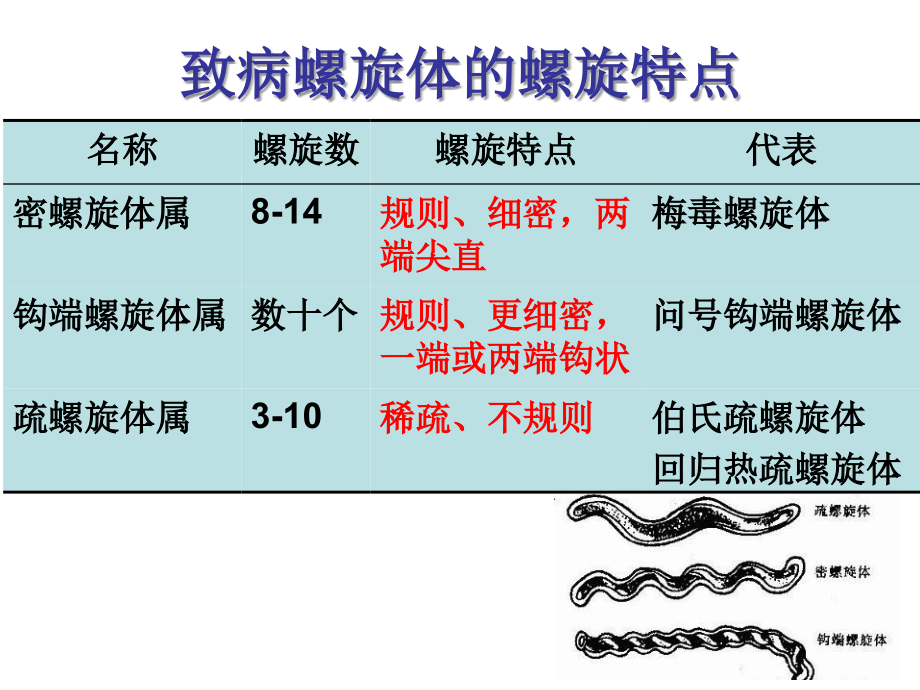 螺旋体专业知识讲座主题讲座课件.ppt_第2页