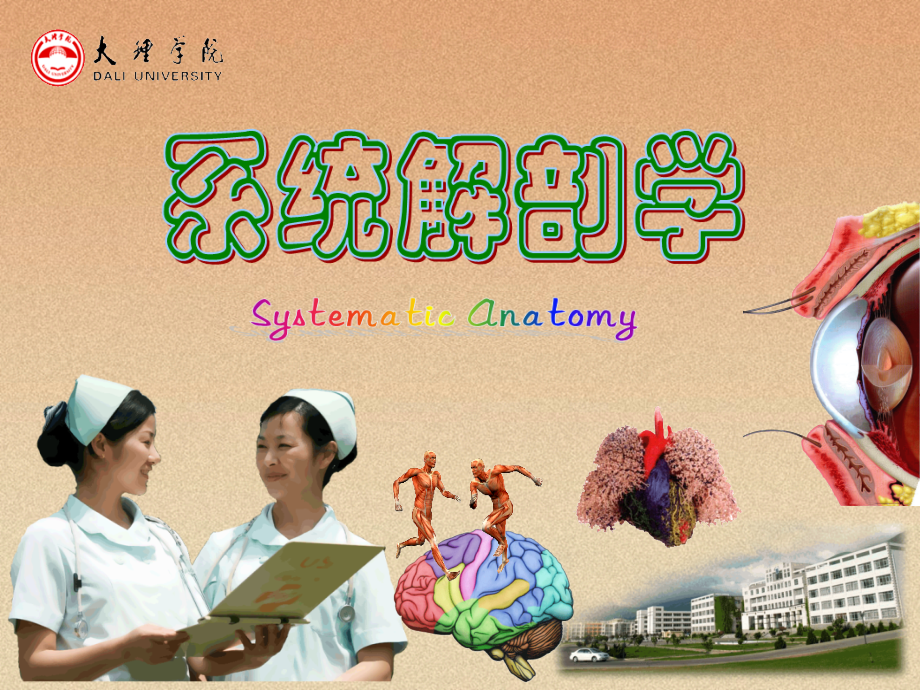 8.男性生殖系统医学.ppt_第1页