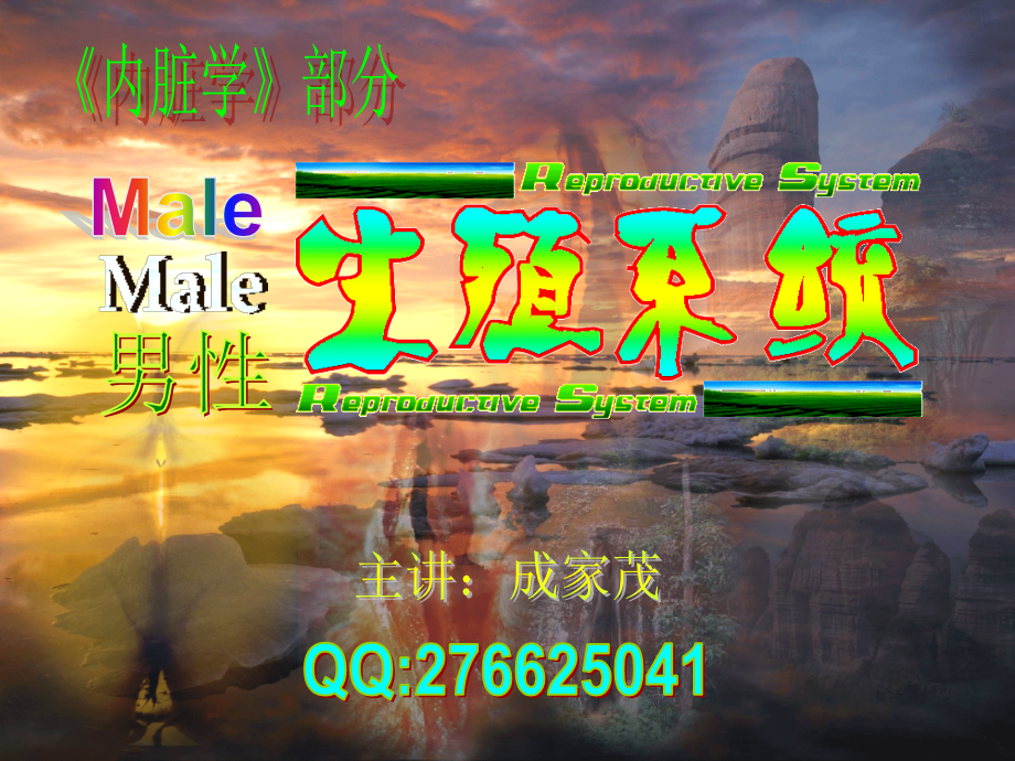 8.男性生殖系统医学.ppt_第2页