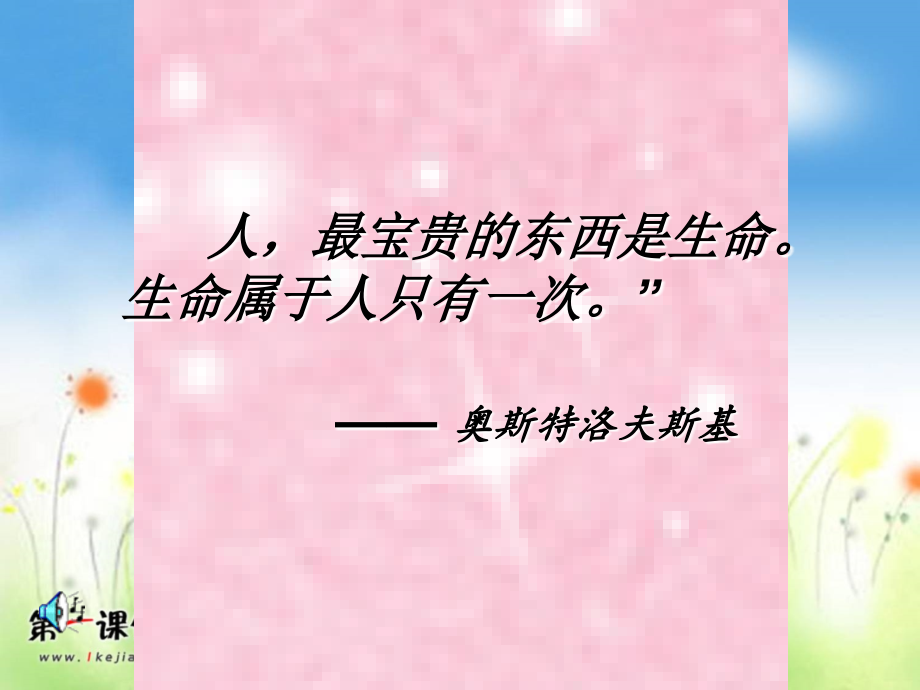 让生命之花绽放-PPT分析.ppt_第1页