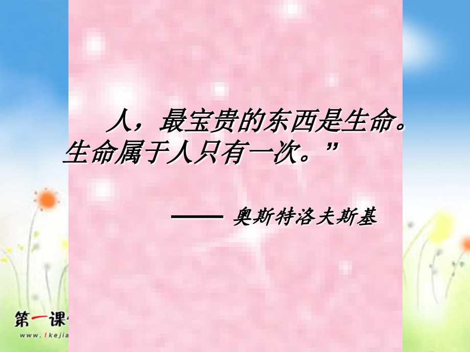 让生命之花绽放-PPT分析.ppt_第2页