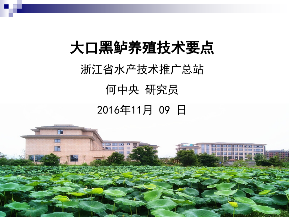 大口黑鲈养殖技术.ppt_第1页