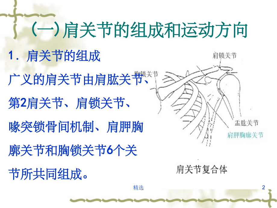 肩关节运动学课件.ppt_第2页