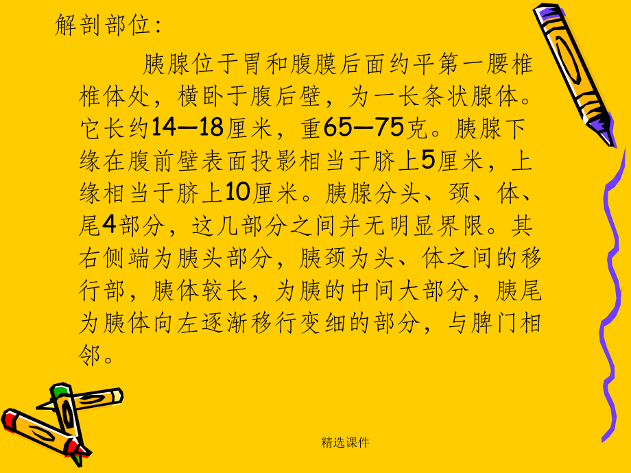 胰腺炎完整课件.ppt_第2页