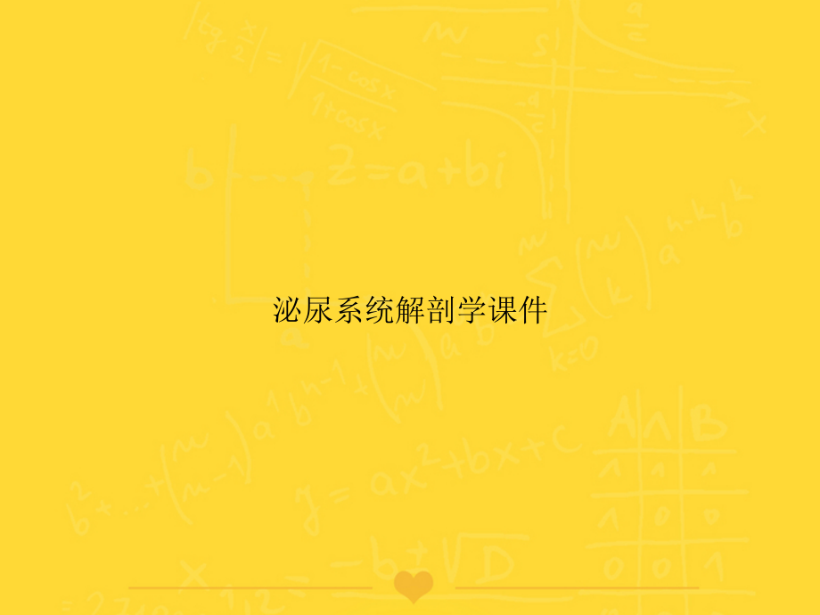 泌尿系统解剖学文档.ppt_第1页