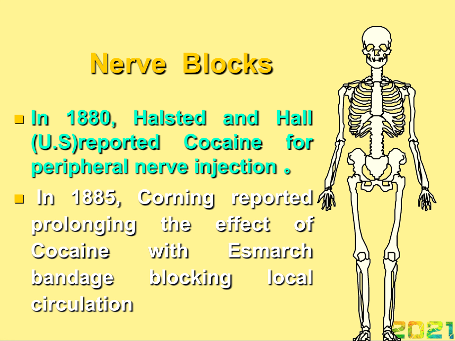 区域神经阻滞麻醉并发症完整.ppt_第2页