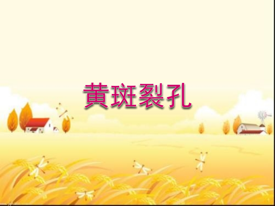 黄斑裂孔的护理.ppt_第1页