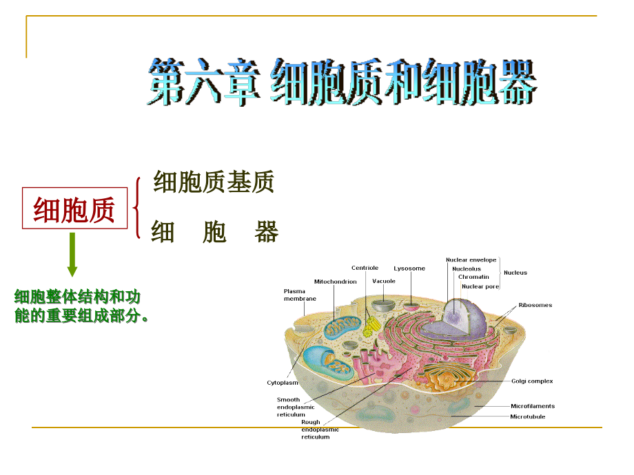 第6章之(1)～(3)细胞质基质、核糖体、内膜系统资料.ppt_第1页