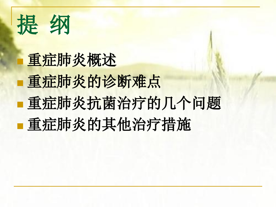 重症肺炎的诊治.ppt_第2页