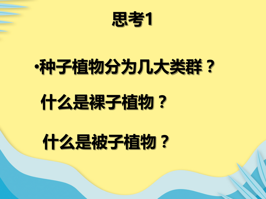 裸子植物与被子植物推选文档.ppt_第2页