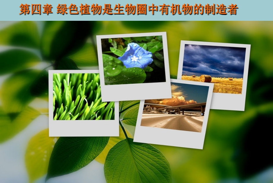 人教版七级上册生物--绿色植物是生物圈中有机物的制造者-课件【共45张】.ppt_第1页