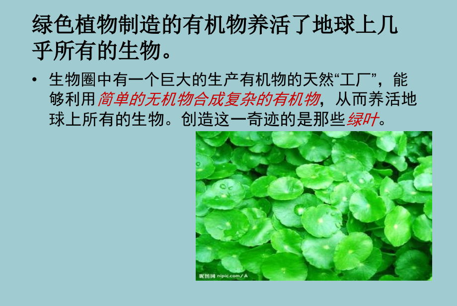 人教版七级上册生物--绿色植物是生物圈中有机物的制造者-课件【共45张】.ppt_第2页