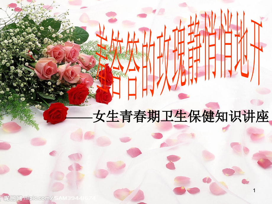 女生生理教育.ppt_第1页