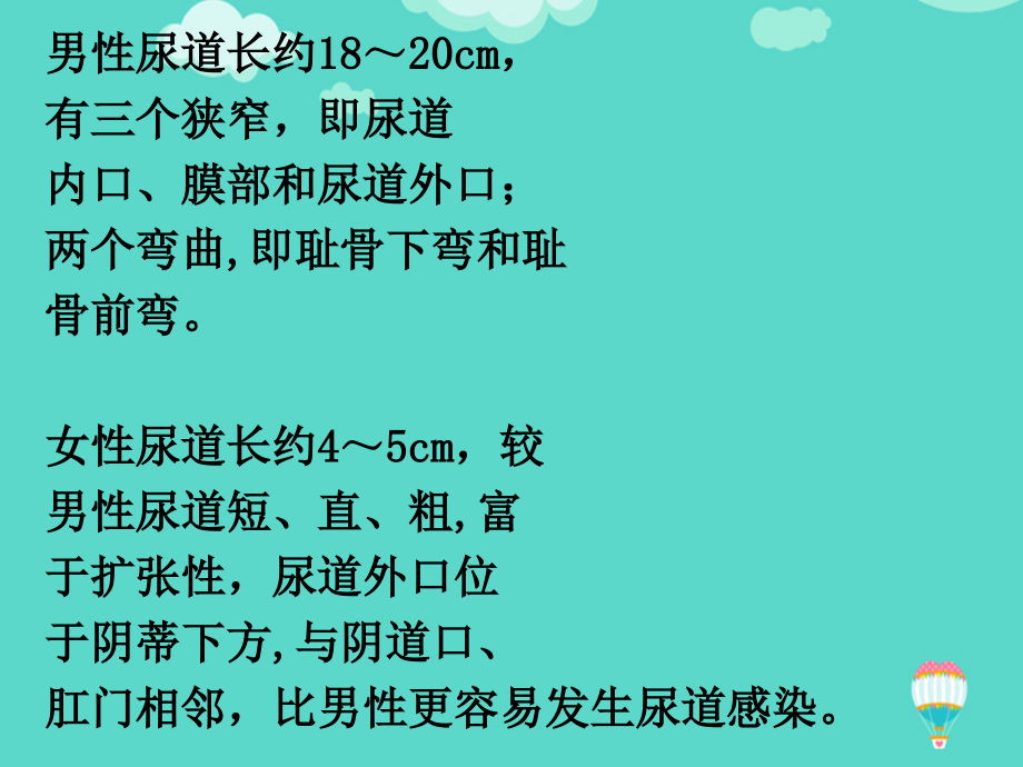 女病人留置导尿术文档.ppt_第2页