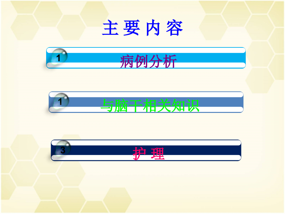 脑干梗死课件.ppt_第2页