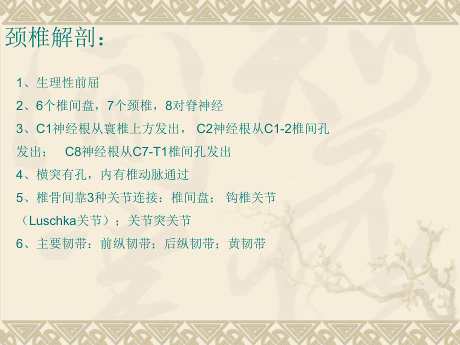 颈椎骨折脱位诊断与治疗.ppt_第2页