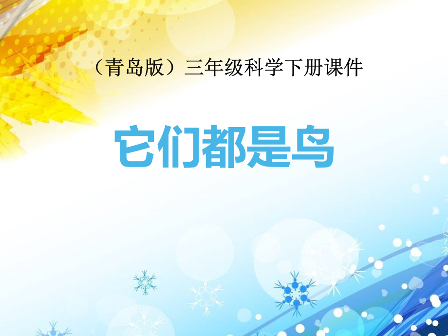 《它们都是鸟》.pptx_第1页